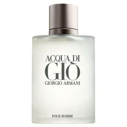 Giorgio Armani Acqua Di Gio Edt X 100ml Perfume Importado