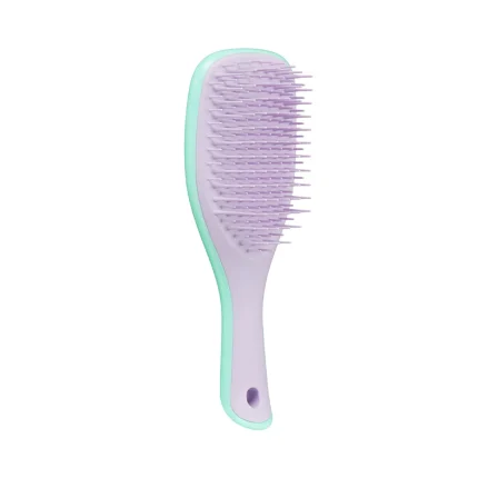 Tangle Teezer Wet Detangler Hair Brush